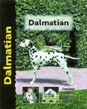DALMATIAN (Interpet)