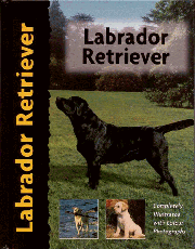 LABRADOR RETRIEVER (Interpet)