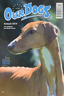 OUR DOGS ANNUAL 2014 - WITH EUROPEAN POST £20.95 total inc p&p