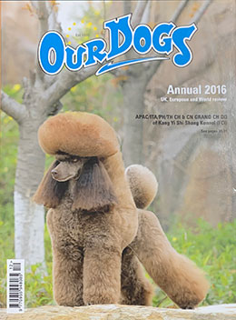 OUR DOGS ANNUAL 2016 - UK POST - ON SALE