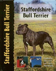 STAFFORDSHIRE BULL TERRIER (Interpet / Kennel Club)
