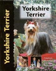 YORKSHIRE TERRIER (Interpet / Kennel Club)