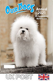 OUR DOGS ANNUAL 2021 - WITH UK POST ONLY!!!
