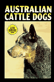 AUSTRALIAN CATTLE DOG