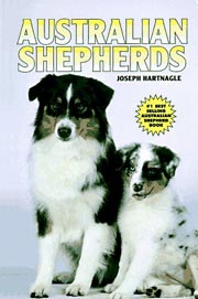 AUSTRALIAN SHEPHERDS KW