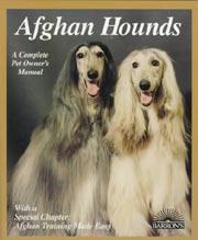 AFGHAN HOUND - Barron