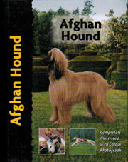 AFGHAN HOUND