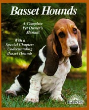 BASSET HOUND