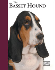 BASSET HOUND BEST OF BREED