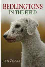 BEDLINGTON TERRIER