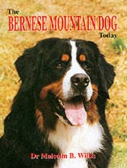 BERNESE MOUNTAIN DOG