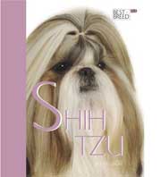 SHIH TZU BEST OF BREED