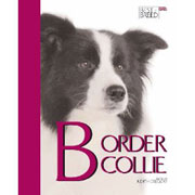 BORDER COLLIE BEST OF BREED