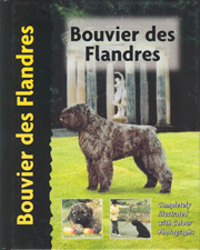 BOUVIERS DES FLANDRES (Interpet)