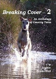 BREAKING COVER VOLUME 2