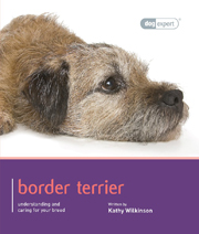 BORDER TERRIER (DOG EXPERT)