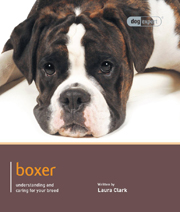 BOXER (DOG EXPERT)