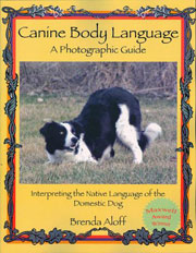 CANINE BODY LANGUAGE