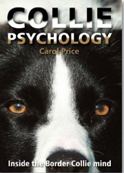 COLLIE PSYCHOLOGY