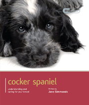 COCKER SPANIEL (DOG EXPERT)