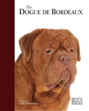 DOGUE DE BORDEAUX BEST OF BREED