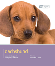 DACHSHUND (DOG EXPERT)