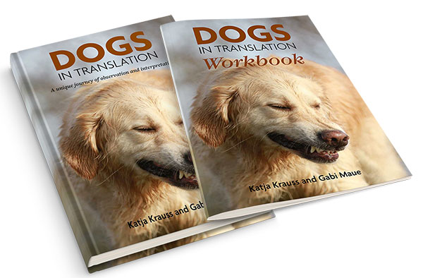 DOGS IN TRANSLATION & WORKBOOK - NEW