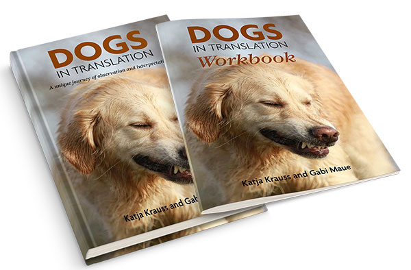 DOGS IN TRANSLATION & WORKBOOK