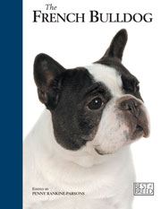 FRENCH BULLDOG BEST OF BREED