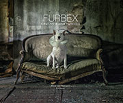 FURBEX: A DOG LIFE OF URBAN EXPLORATION