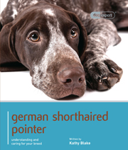 GERMAN SHORTHAIRED POINTER (DOG EXPERT)