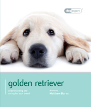 GOLDEN RETRIEVER (DOG EXPERT)