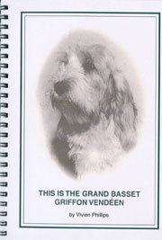 THIS IS THE GRAND BASSET GRIFFON VENDEEN