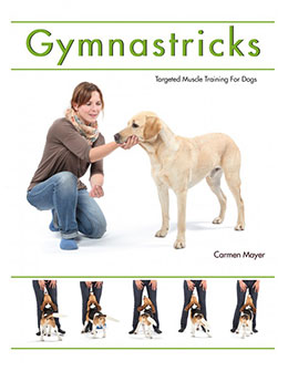 GYMNASTRICKS 