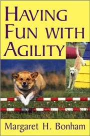 HAVING FUN WITH AGILITY WITHOUT COMPETITION
