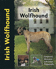 IRISH WOLFHOUND (Interpet)