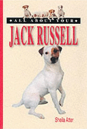 JACK RUSSELL ALL ABOUT YOUR