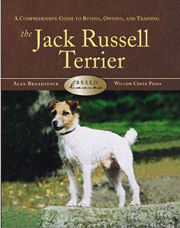 JACK RUSSEL TERRIER BREED BASICS