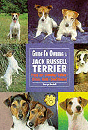 JACK RUSSELL TERRIER GUIDE TO OWNING A
