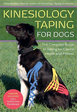 KINESIOLOGY TAPING FOR DOGS