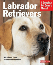 LABRADOR RETRIEVERS