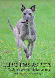 LURCHERS AS PETS