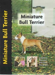 MINIATURE BULL TERRIER