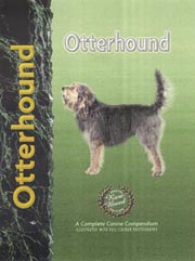 OTTERHOUND