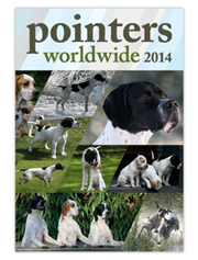 POINTERS - WORLDWIDE 2014