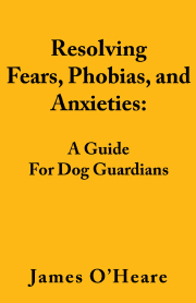 RESOLVING, FEARS, PHOBIAS, AND ANXIETIES for Guardians