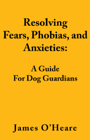 RESOLVING, FEARS, PHOBIAS, AND ANXIETIES for Guardians