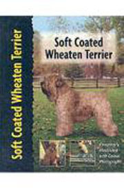 SOFT COATED WHEATEN TERRIER (Interpet / Kennel Club)