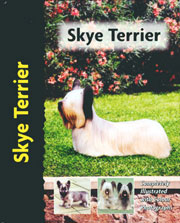 SKYE TERRER (Interpet / Kennel Club)