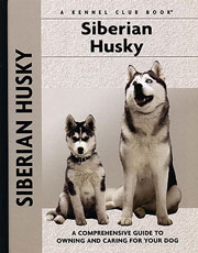 SIBERIAN HUSKY (Interpet / Kennel Club)